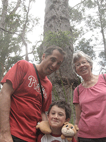 treetop walk02